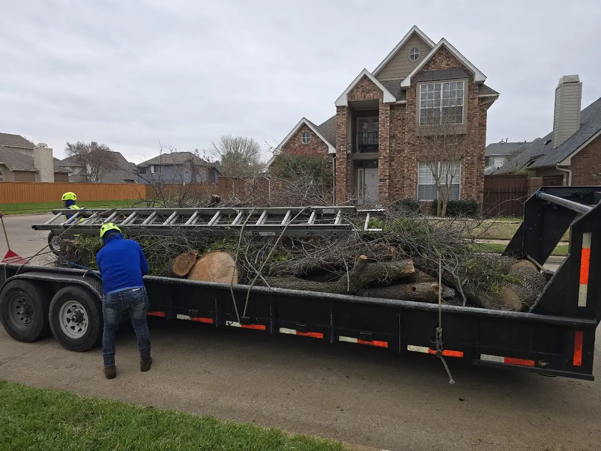 Expert Tree Removal with proper safety equipment in Nebo